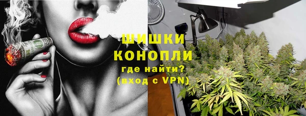 МДПВ Рославль